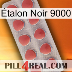 Étalon Noir 9000 18